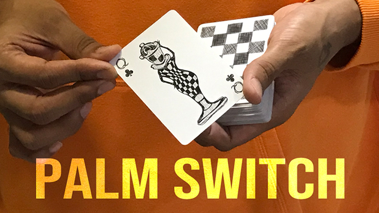 Magic Encarta Presents Palm Switch & Palm Control by Vivek Singhi