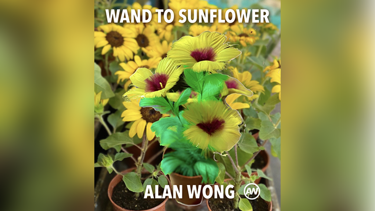 WAND TO SUNFLOWER LARGE by Alan Wong  - Trick