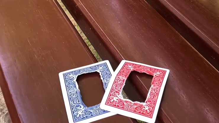 LinkCard RED (Gimmicks and Online Insruction) by Micka?®l Chatelain - Trick