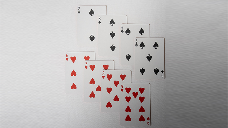 No Borders Edition 2 Victory Back Playing Cards by Joker and the Thief