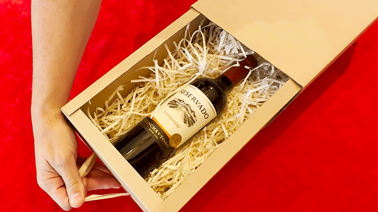 MAGIC BOX Kraft Medium by George Iglesias and Twister Magic