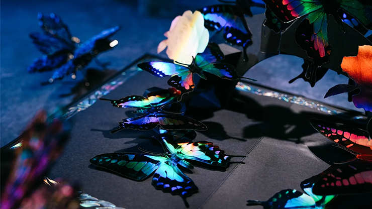 Morpho V2 Playing Cards Collection Boxset by TCC Fashion
