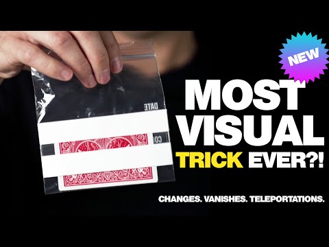 Lucid by Roddy McGhie